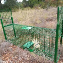 jaula trampa gatos